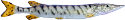 BPNPM-8.5